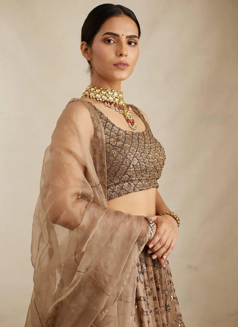 Pretty Soft Net Sequence Zari Embroidery Work Brown Lehenga - Image 3
