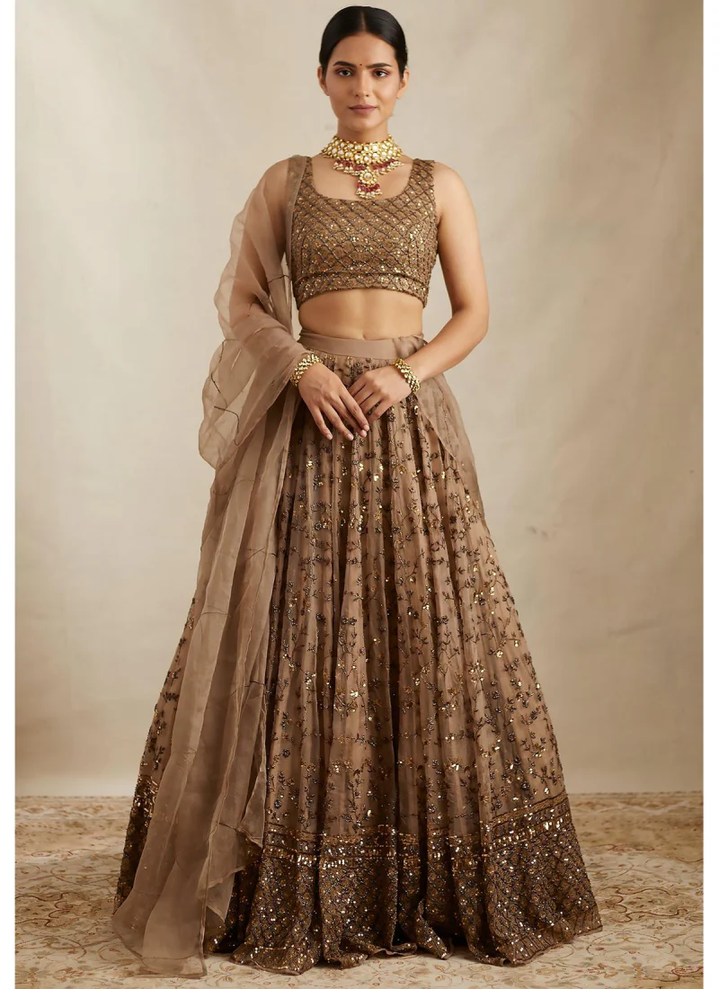 Pretty Soft Net Sequence Zari Embroidery Work Brown Lehenga - Image 4